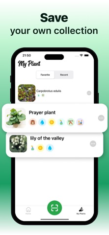Plant Finder Tree Identifier Screenshot 5 of 5