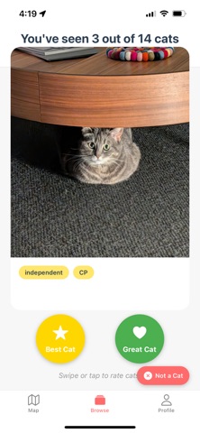 NeighborCats screenshot