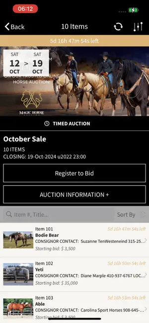 Magic Horse Auction App screenshot 2