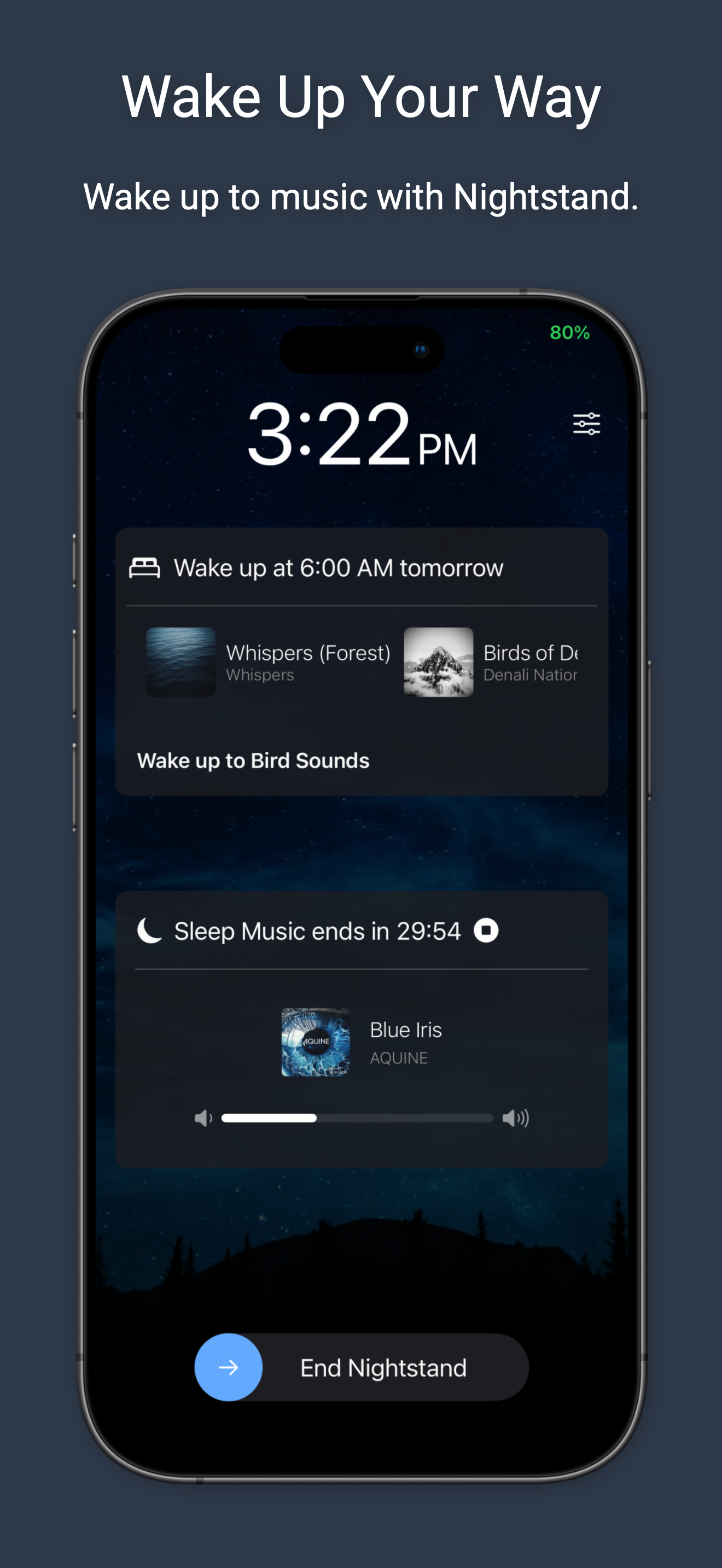 Music Mode screenshot 5