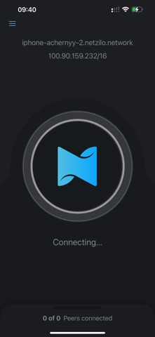 Netzilo Screenshot 1 of 2