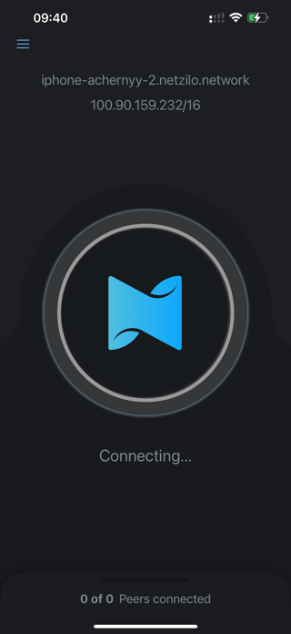Netzilo Screenshot 1 of 2