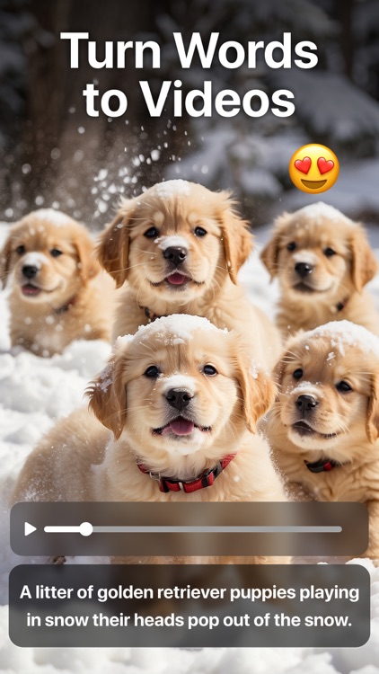 AI Video - AI Video Generator
