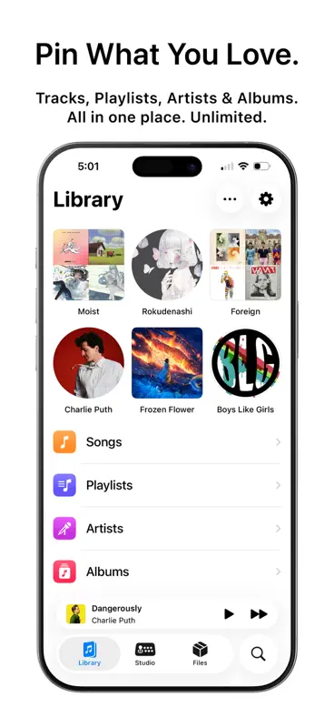 Tuneo: Offline Music Player screenshot 2 of 8