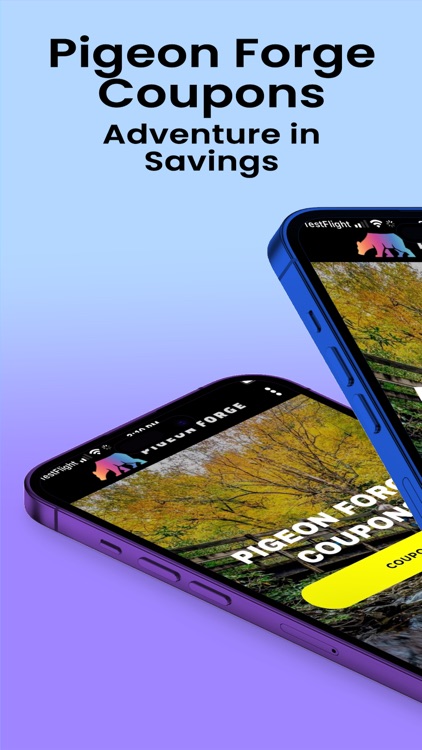 Pigeon Forge Coupons