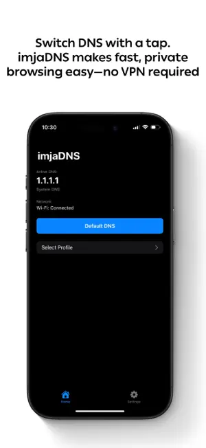imjaDNS screenshot 2