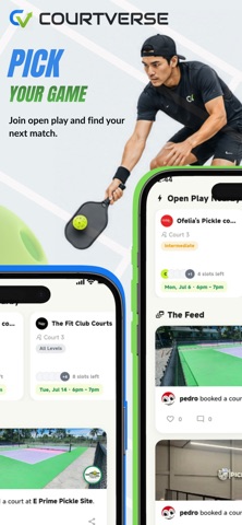 CourtVerse screenshot