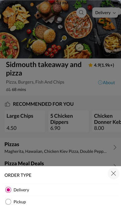 Sidmouth takeaway and pizza Screenshot