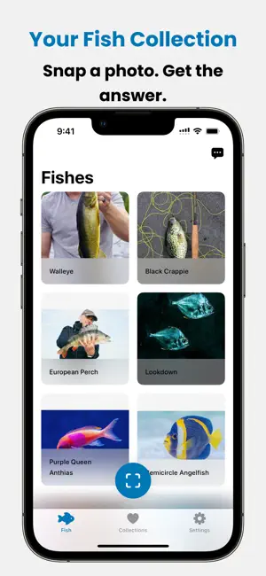 Fish Verify: AI Scanner screenshot 4