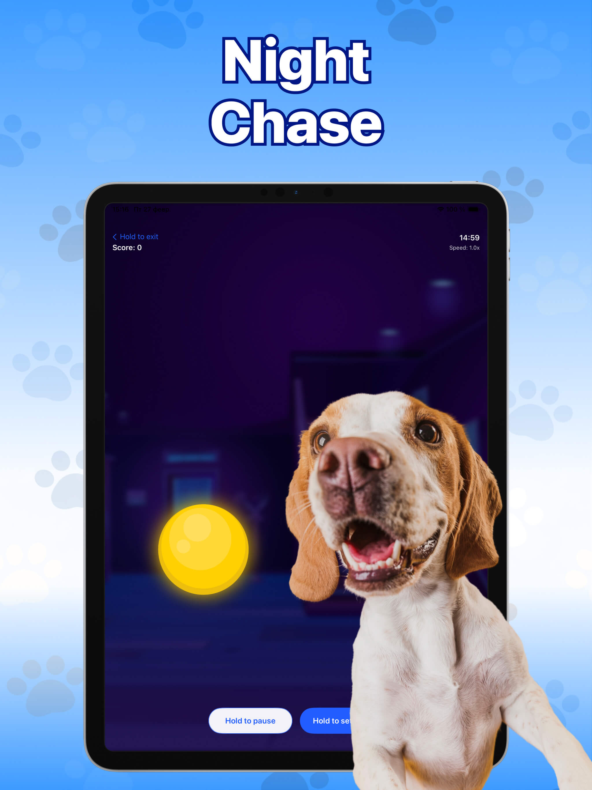 Games for Dogs + screenshot 10