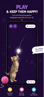 CatJoy screenshot 3