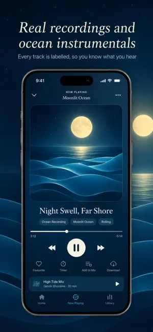 Ambient Ocean Waves screenshot 2