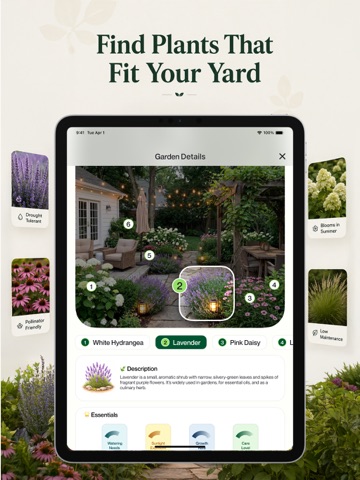 AI Garden Design: Landscape AI iPad screenshot