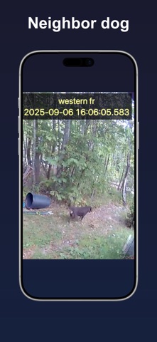 Time Stamp Adder: Video Date screenshot