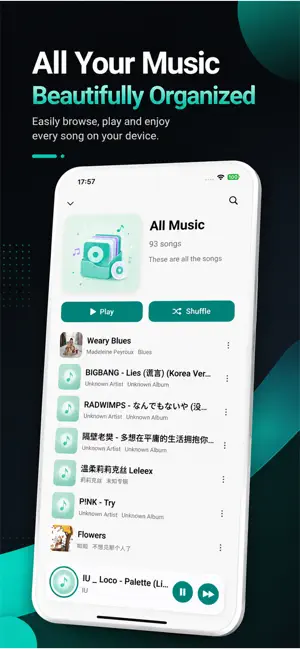 SoloMax Offline Player screenshot 4