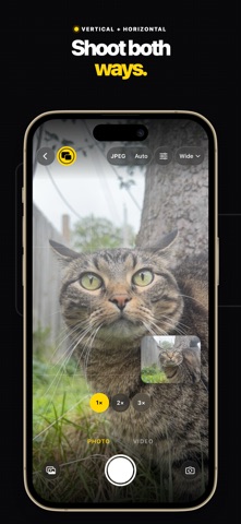 VertiWide: Dual Format Camera screenshot 4