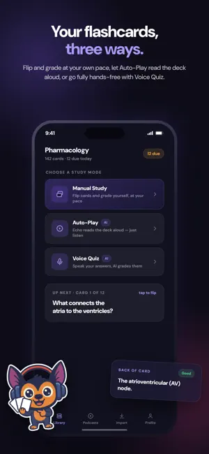 EchoDeck: AI Audio Flashcards screenshot 4
