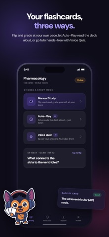 EchoDeck: AI Audio Flashcards Screenshot 4 of 7