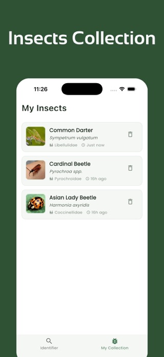 Insect Identifier - InsectsLen Screenshot 3 of 6