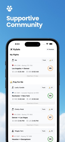 FlySafe: Flight Safety Score screenshot