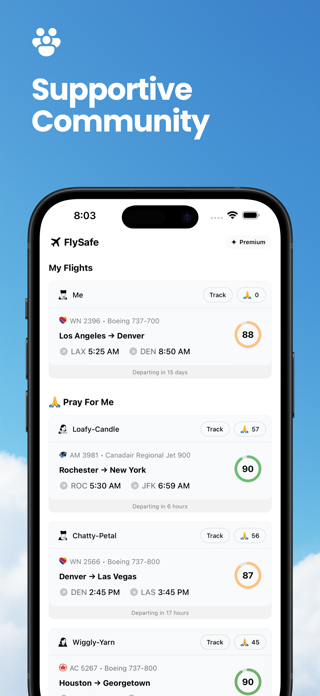FlySafe: Flight Safety Score Screenshot 6 of 6