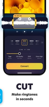 Video To Audio Batch Converter screenshot 5