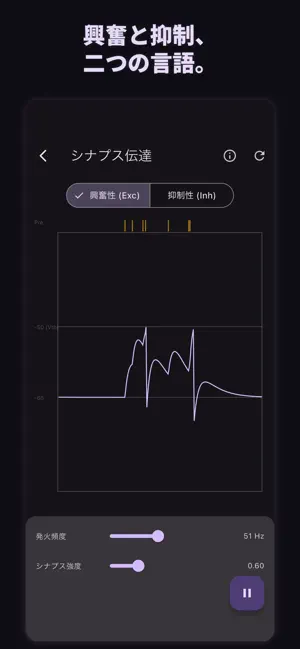NOURAKU - Visual Neuroscience screenshot 2