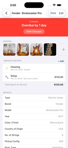 String Ledger Screenshot 2 of 10