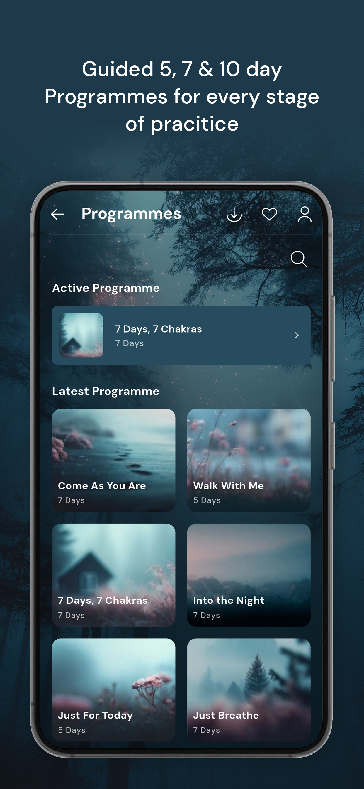 Rise: Calm, Sleep & Balance
