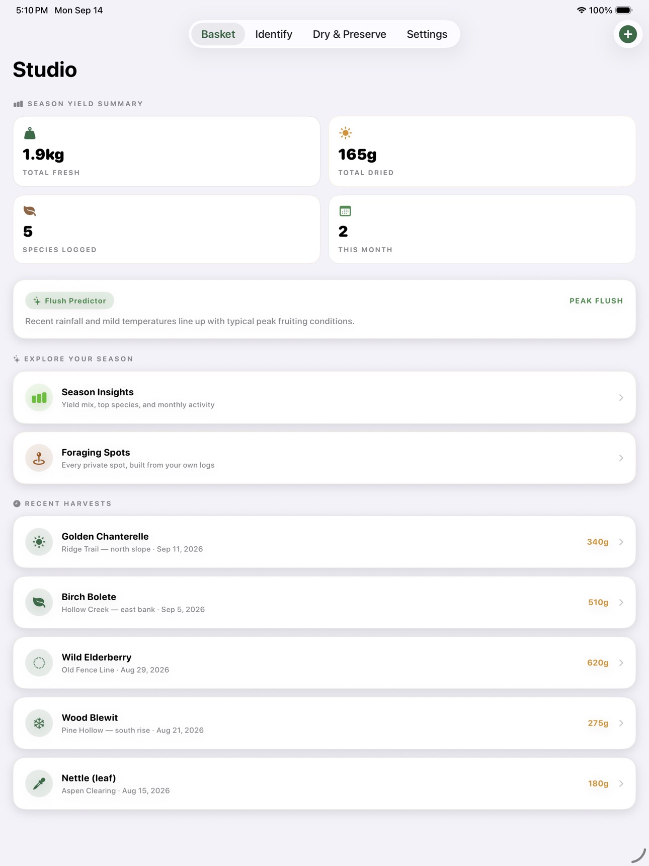 Screenshot 9 of BasketyCaskety