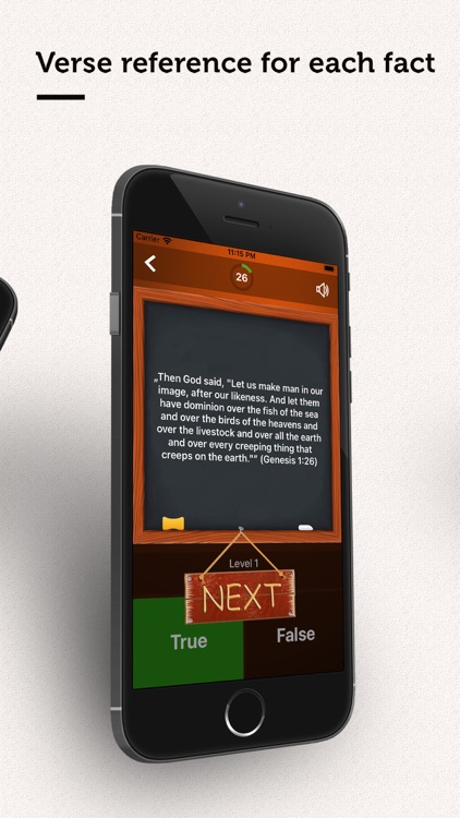 True or False? - Bible Quiz screenshot-3
