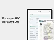 Проверка авто по гос номеру РФ айпад изображения 2