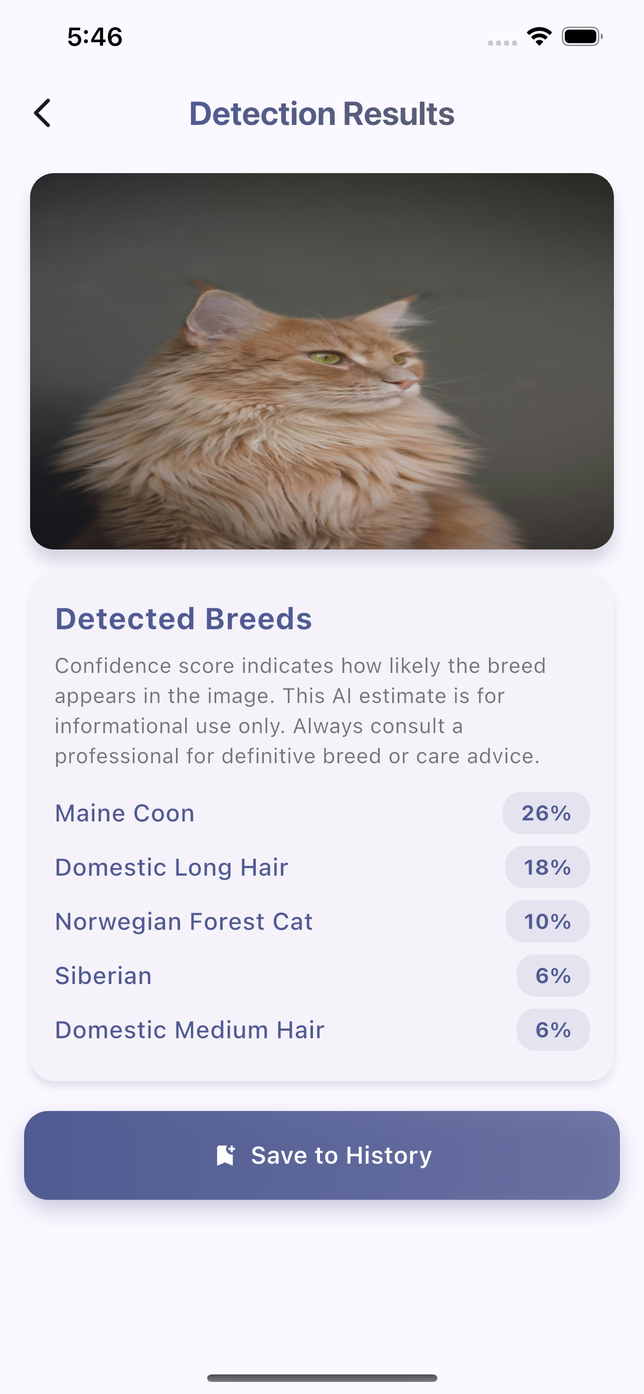Cat Breed Lens