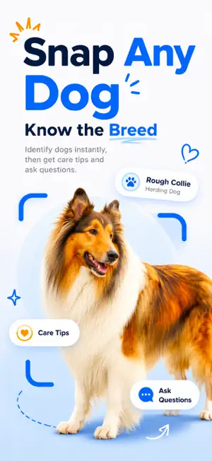 Dog & Puppy Breed Identifier screenshot 1