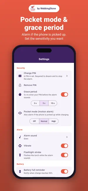 Safe Charging: Anti-Theft screenshot 1