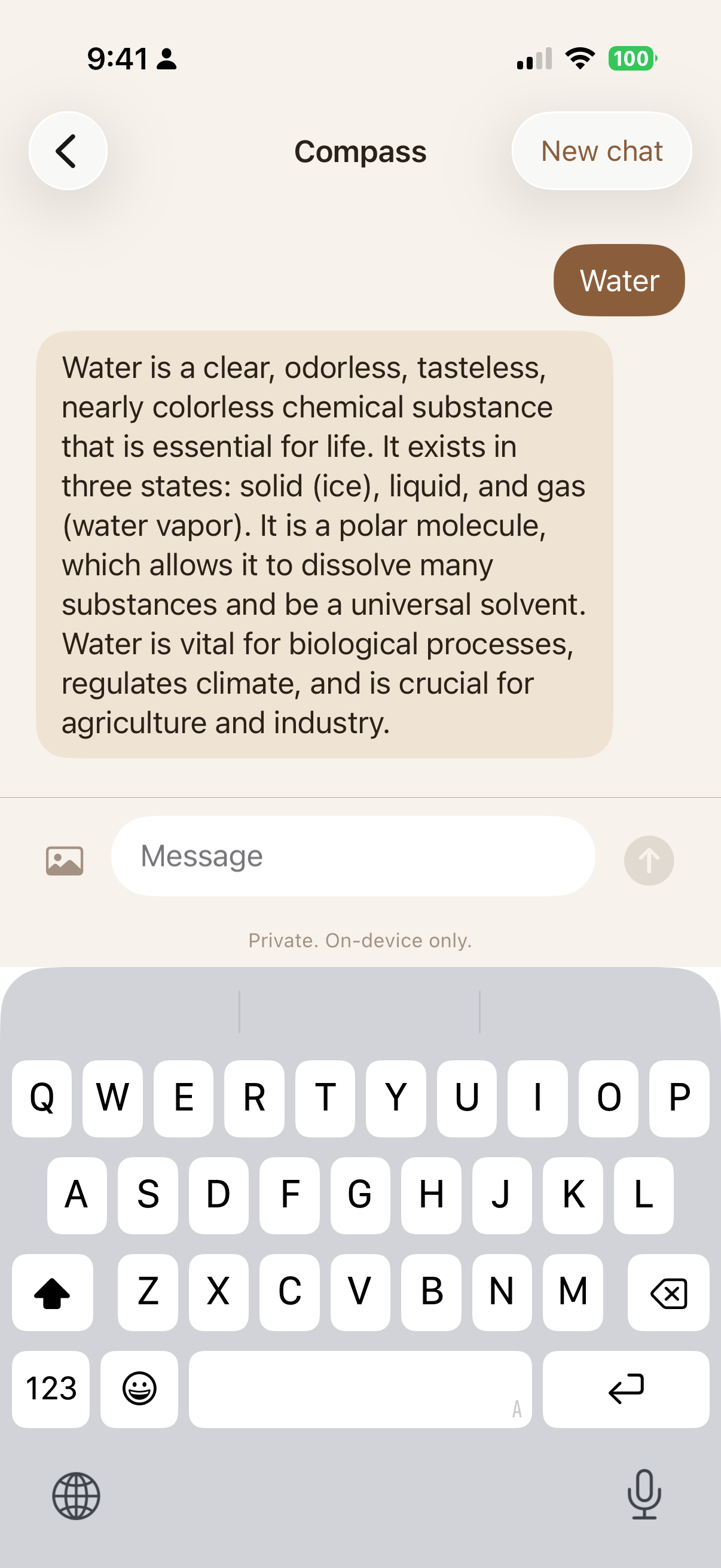 Compass - Local AI