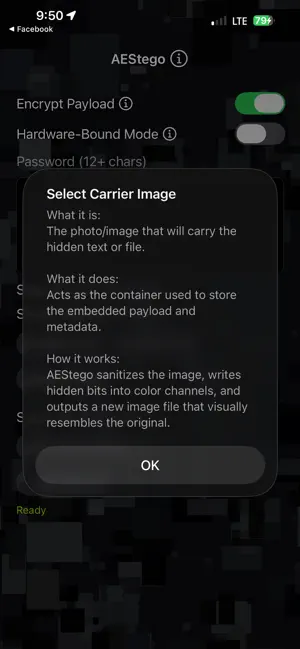 AEStego screenshot 4