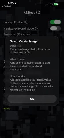 AEStego screenshot