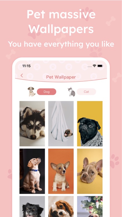 Pet Fun:Pet Training,Meow&Talk