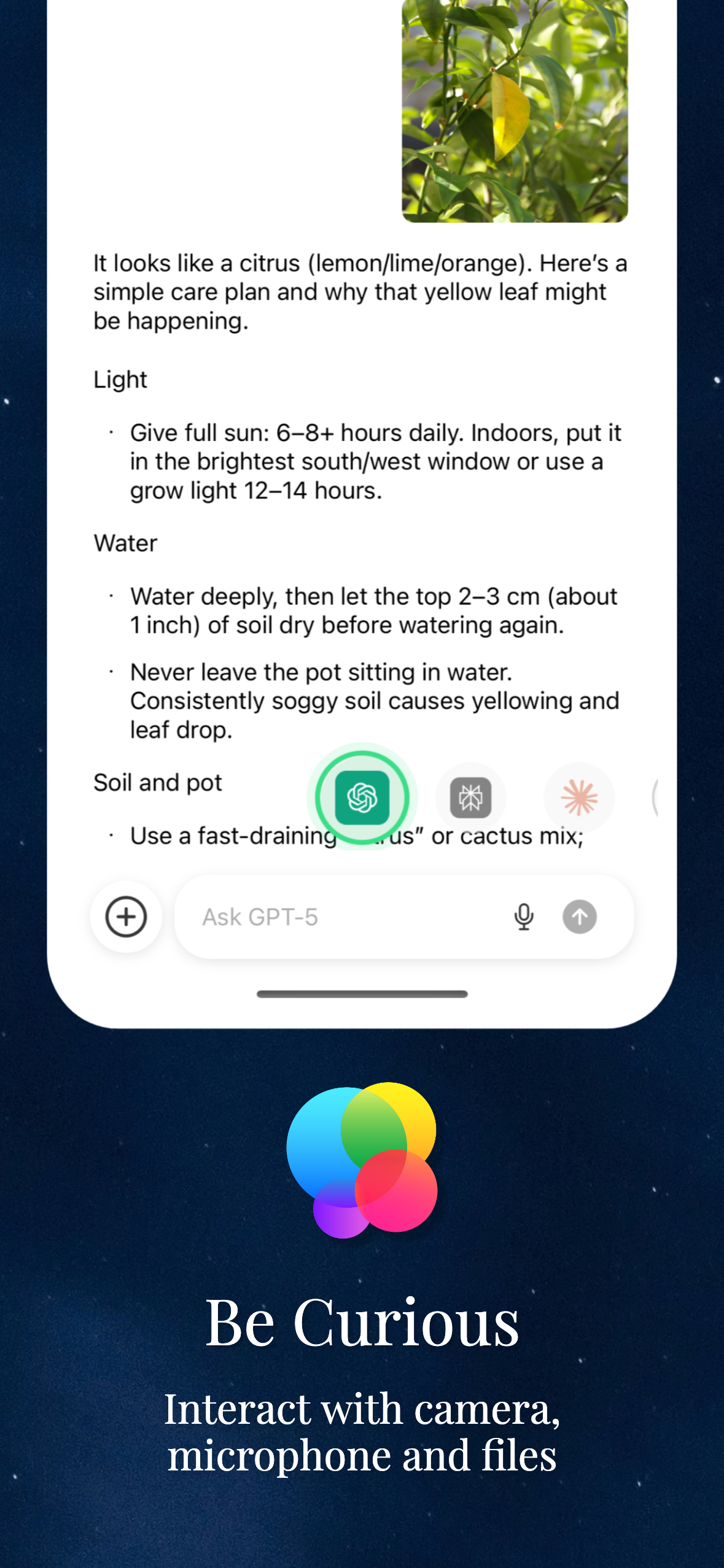 Backplain - Compare AI screenshot 4
