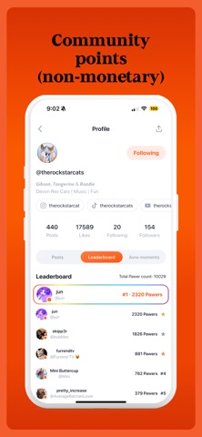 Furrend Screenshot 6