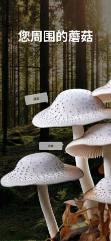 蘑菇识别器: Fungi ID screenshot
