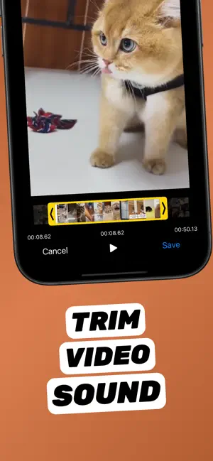 Extract Audio from Video⁺ screenshot 3