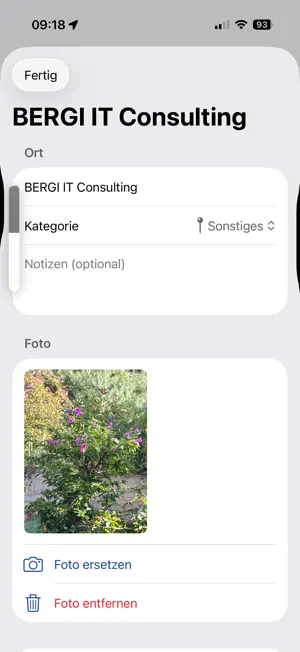 Bergi screenshot 1