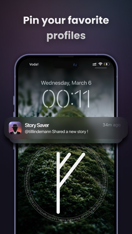 Story Saver & Viewer for Inst screenshot-3