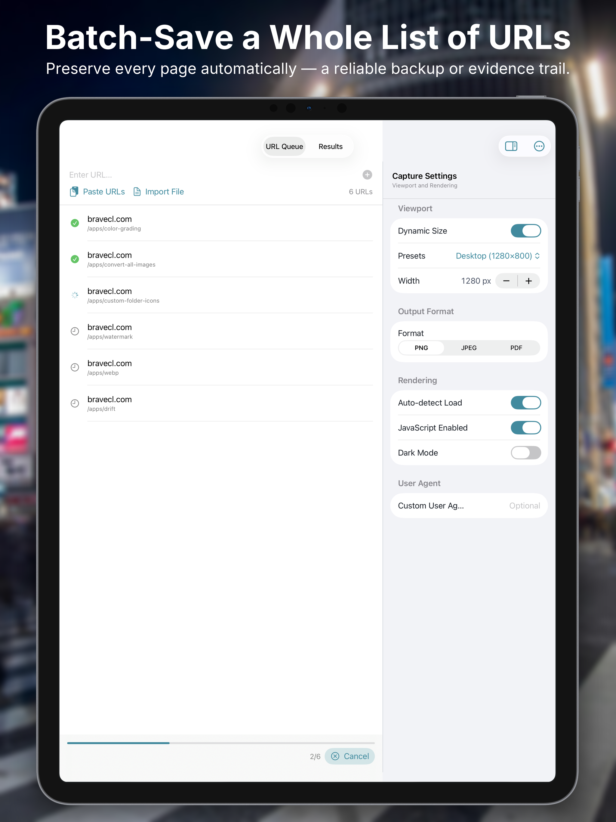 Website Screenshot Capture