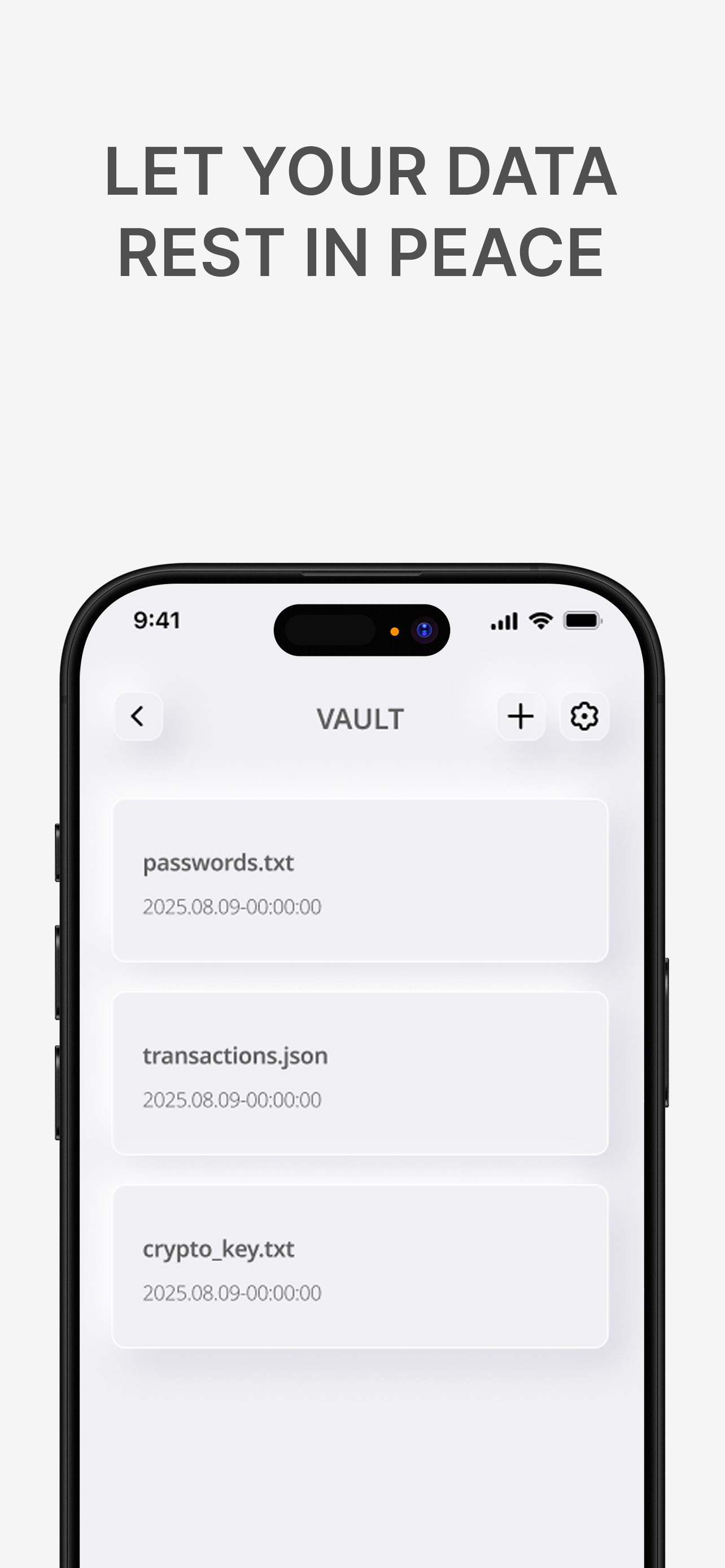 Vault - Your Digital Safehouse