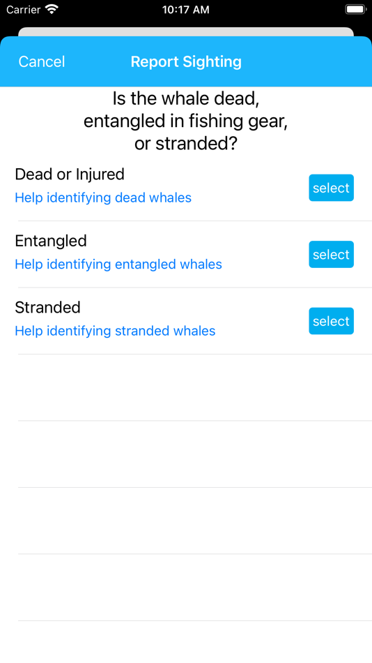 #4. Whale Alert (iOS) 由: Conserve.IO