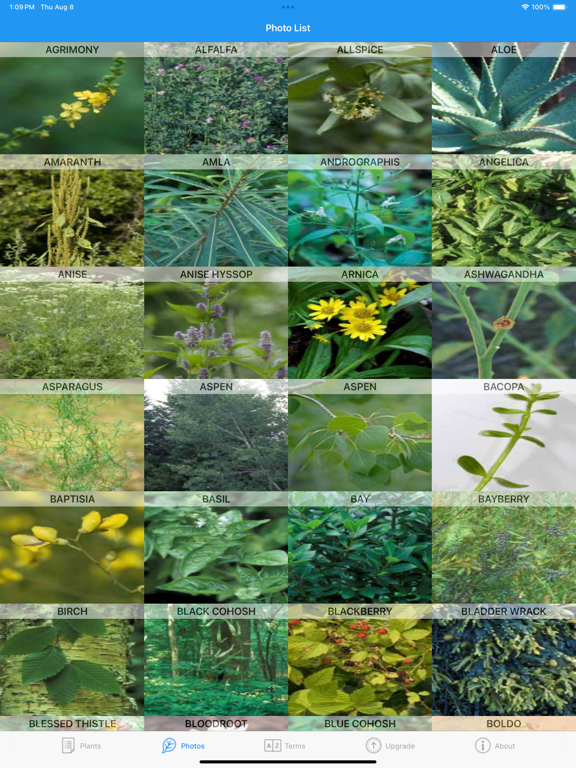 Screenshot #4 pour iPlant with Brigitte Mars