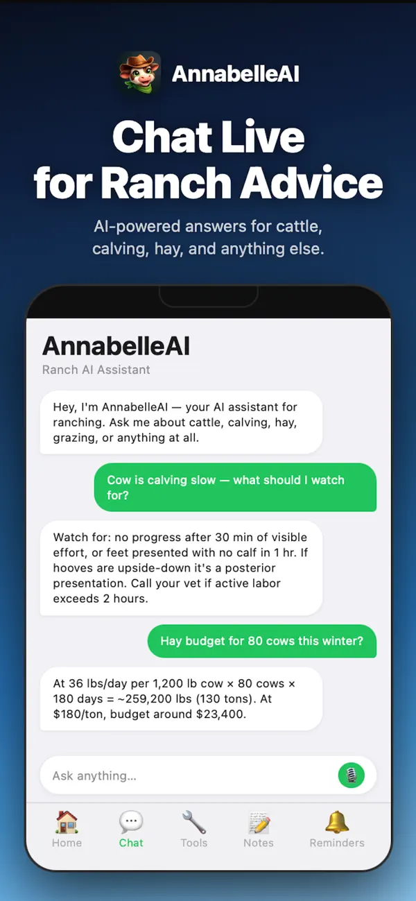 Screenshot #2 pour AnnabelleAI